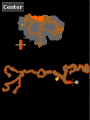 Thumbnail for version as of 19:44, 11 July 2023